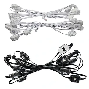 DC36V IP68 RGBW LED Permanent Outdoor Lighting LED Pixel Light Eave Lights